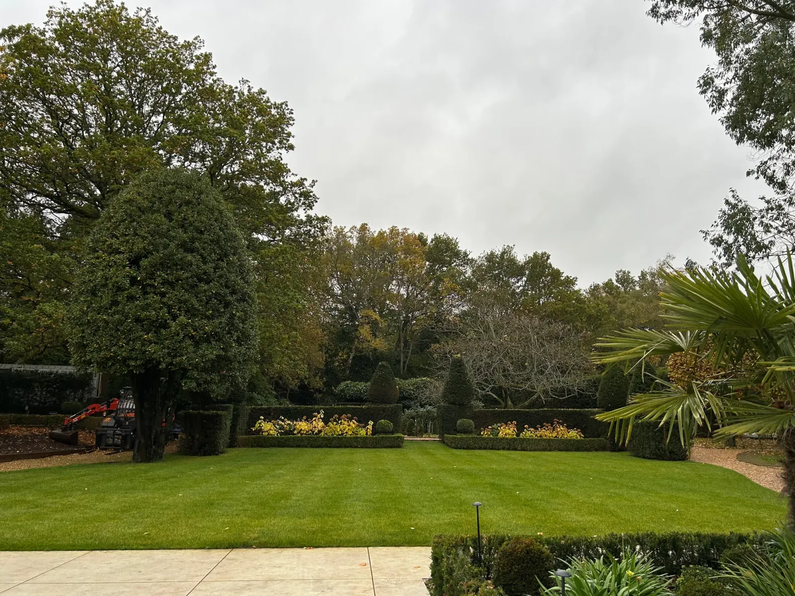 Mature back garden with sculpted hedges, autumn trees and clean lawn