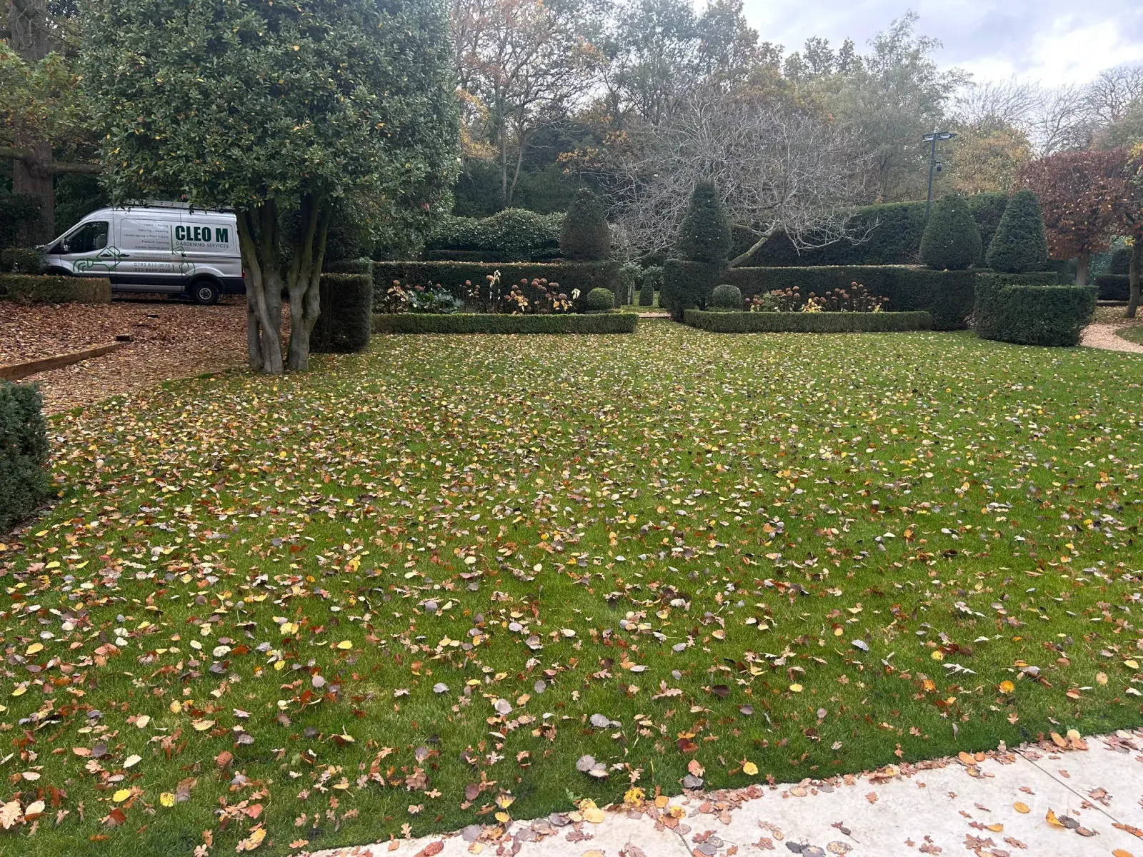 Garden after a maintenance visit, freshly tidy