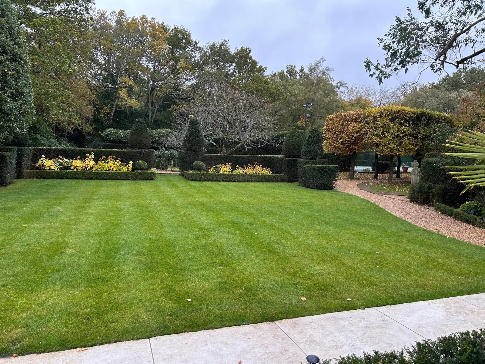 Large back garden with shaped topiary hedges and a perfectly striped lawn