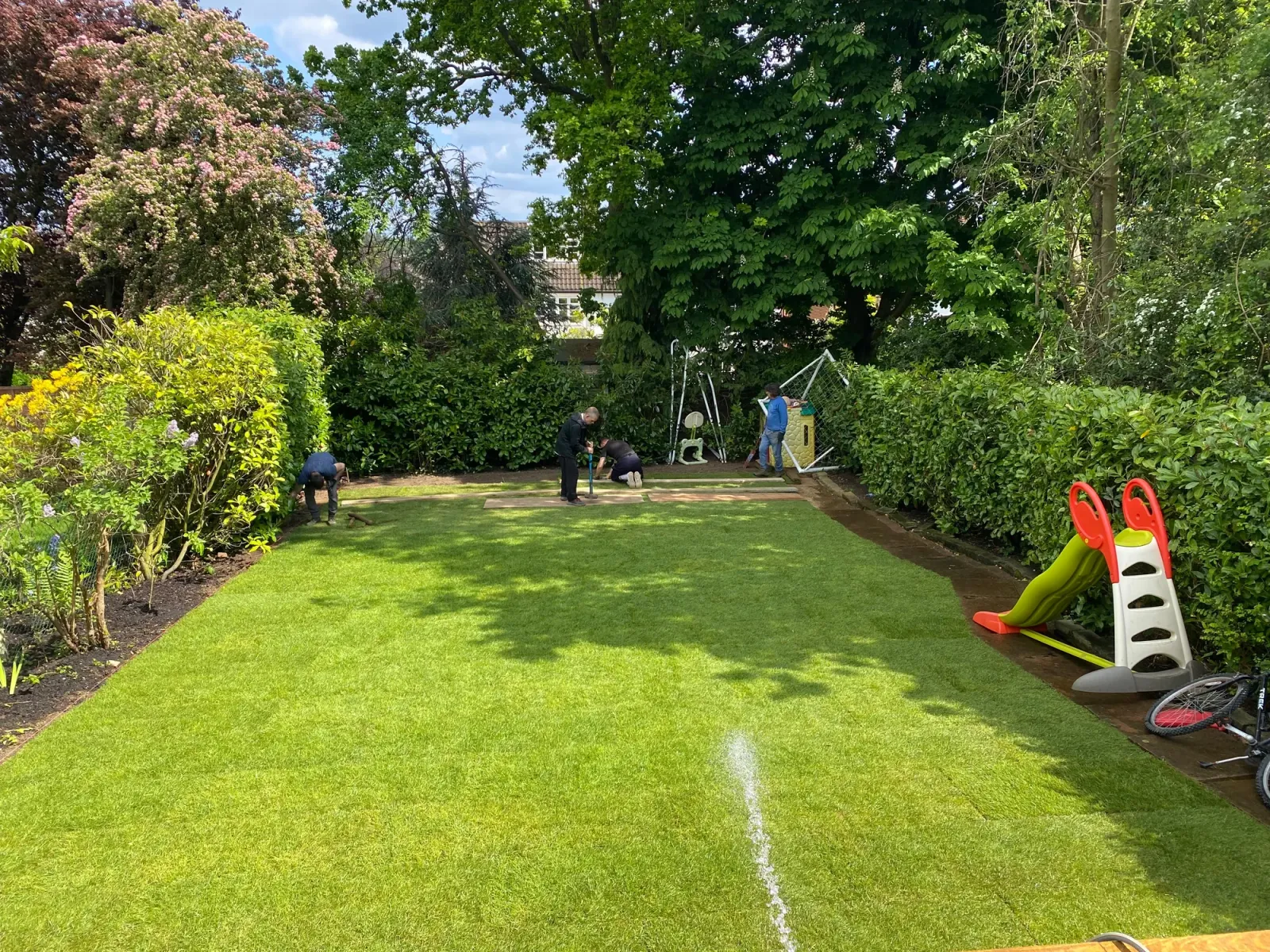 Lush new real-turf lawn after establishment