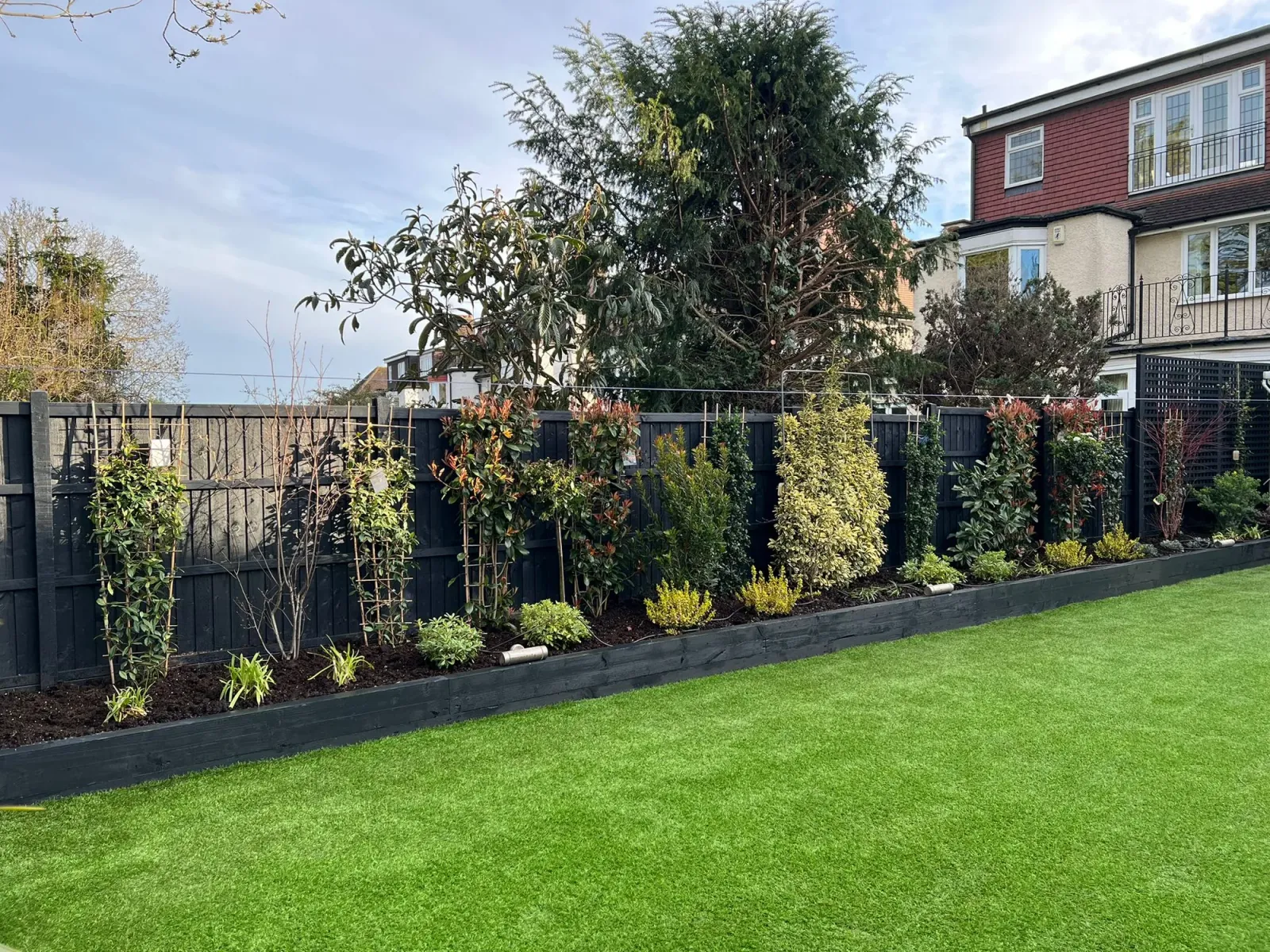 Finchley Central N3: newly planted variegated shrubs and photinia in a freshly built black raised bed